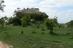 0154-Reis Zuid-Afrika2007
